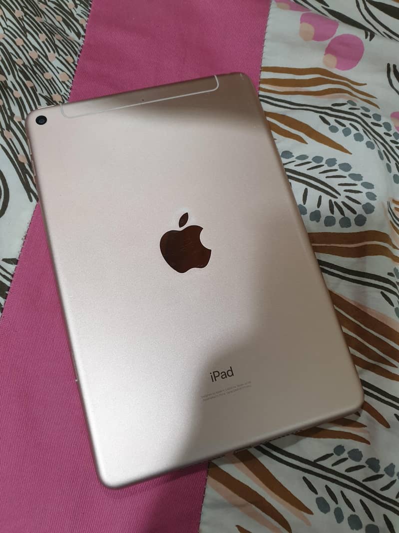 IPAD MINI 5 (256GB) 1