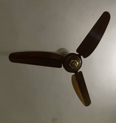 Perwaz Fan
