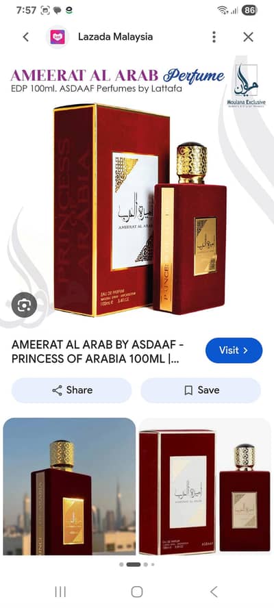 princesses of Arabia by latafa