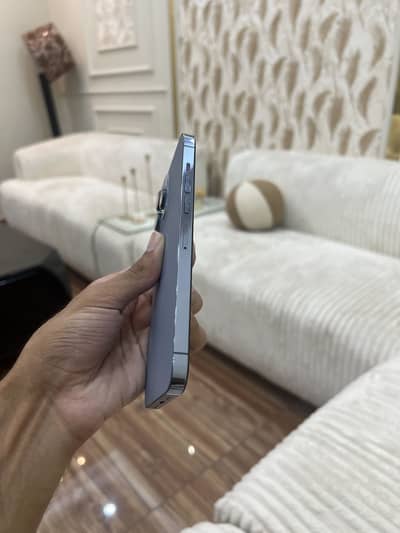 13 pro max non pta