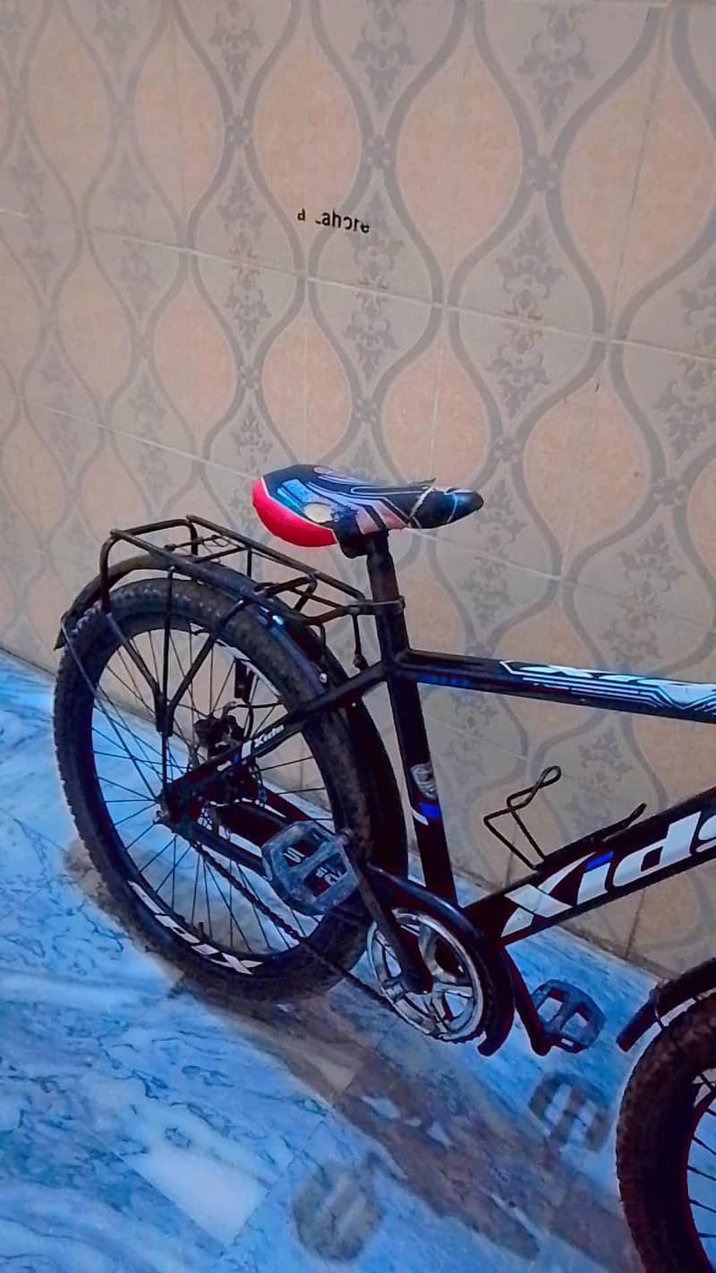 Mountain bicycle 1