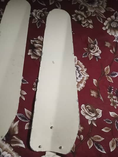 fan for sale urgent all ok hai koi masla ni ha