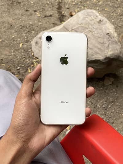 iPhone XR