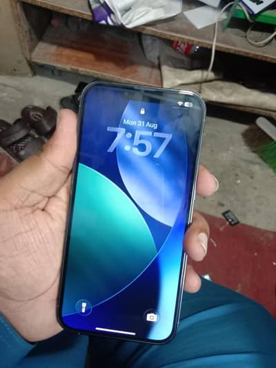 Apple iPhone 13 Pro fu