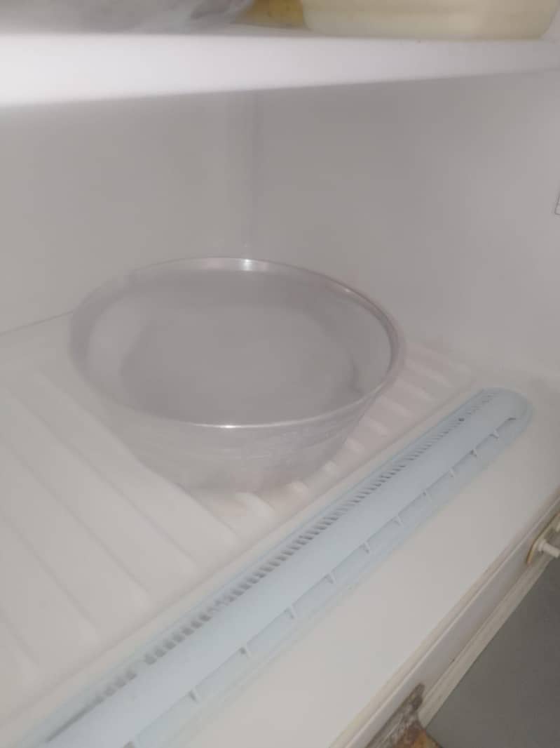 NOFROST 1