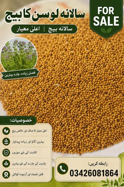 سالانہ لوسن کا بیج برائے فروخت