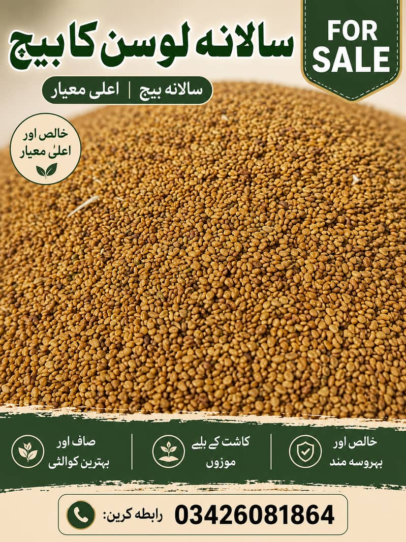 سالانہ لوسن کا بیج برائے فروخت 1
