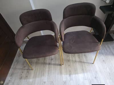 Imported Chairs