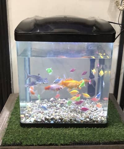 Aquarium
