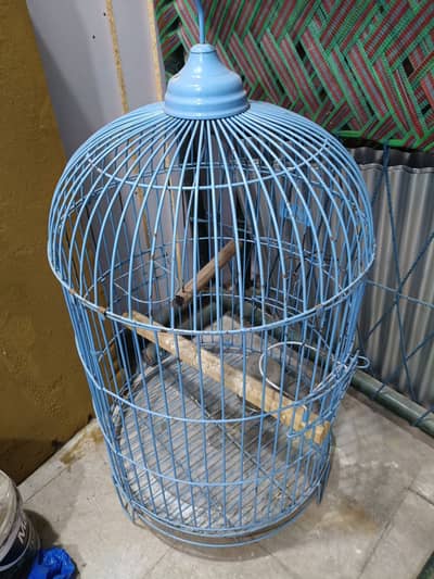 Cage for parrots