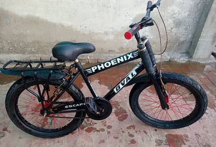 Phoenix Oval Bicycle - Best condition cycle