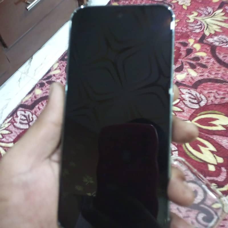 Google Pixel 9 Pro XL 5
