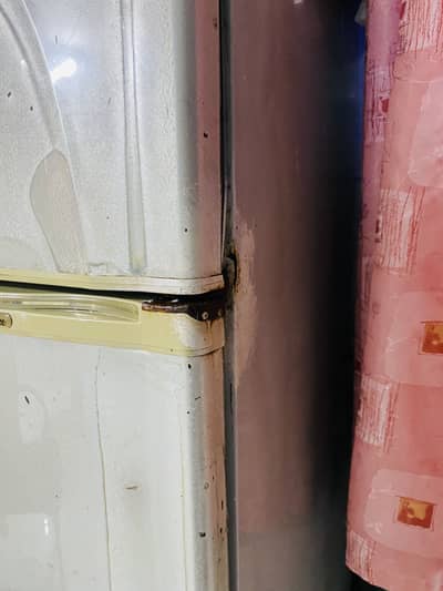 Fridge