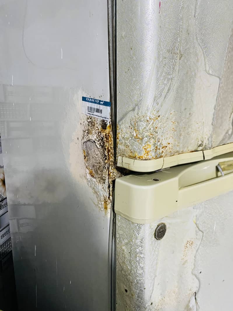 Fridge 3