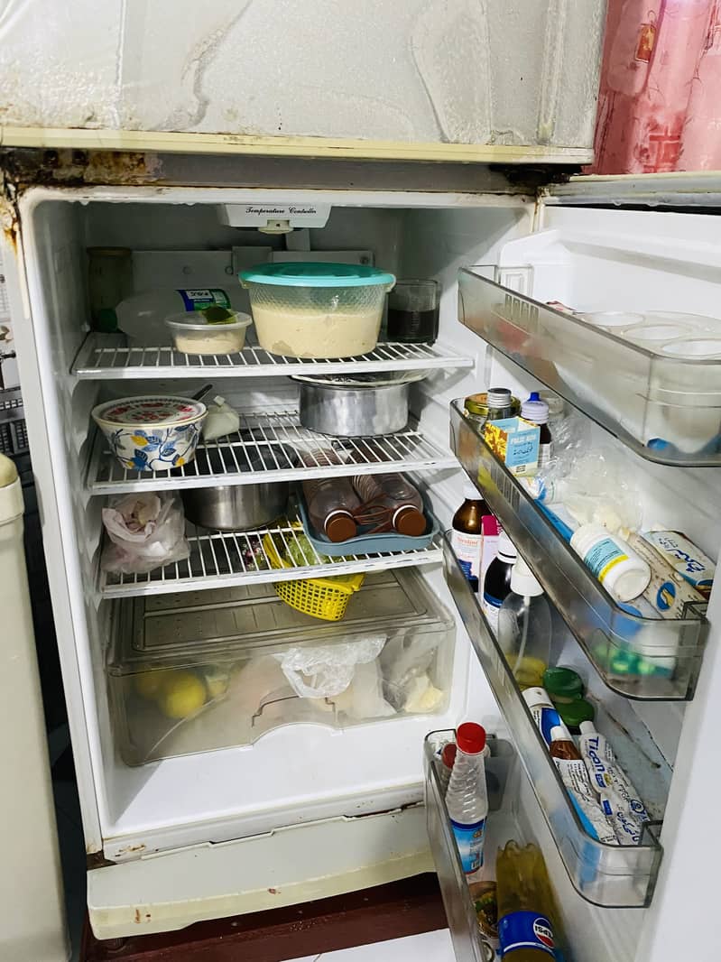 Fridge 5