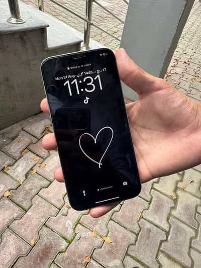 Apple iPhone 12 Pro Max