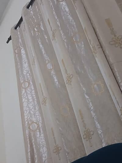 windows curtains