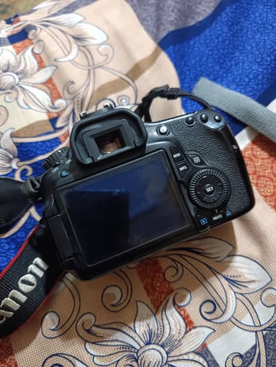 Canon 60D beg & camera