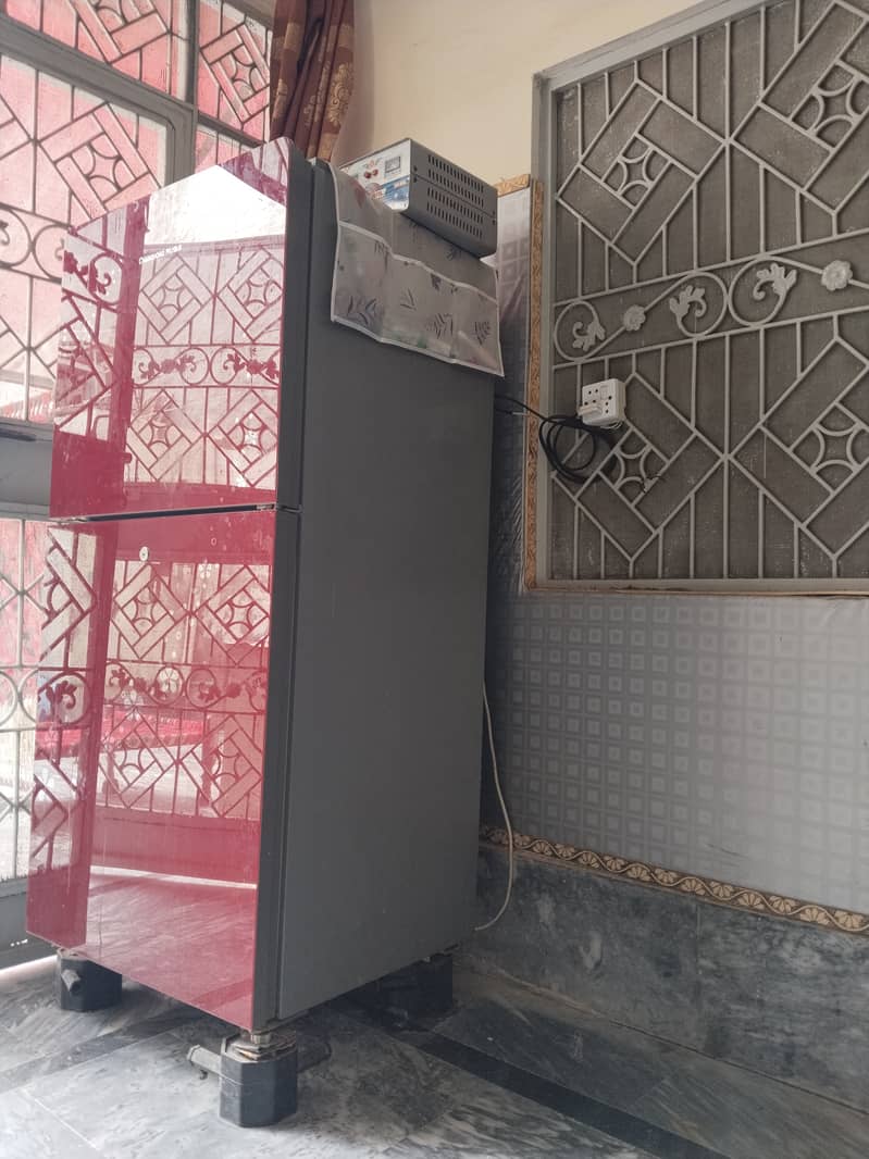 Frige 1