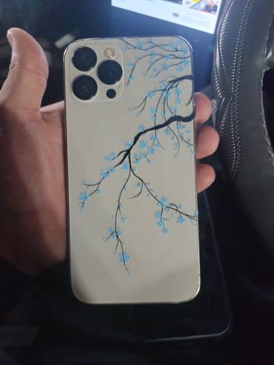 Apple iPhone 12 Pro Max