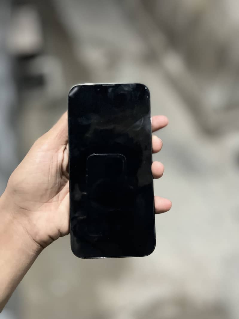 Apple iPhone 13 Pro Max 3