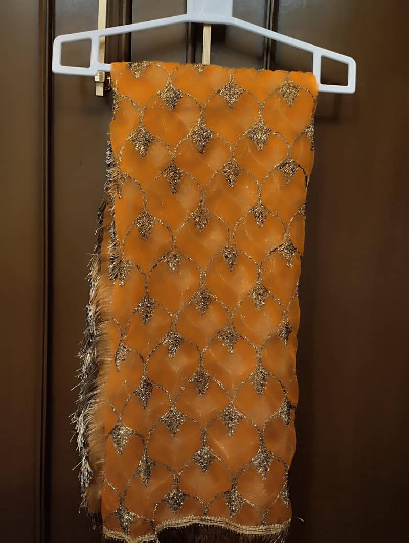 Lehnga 1