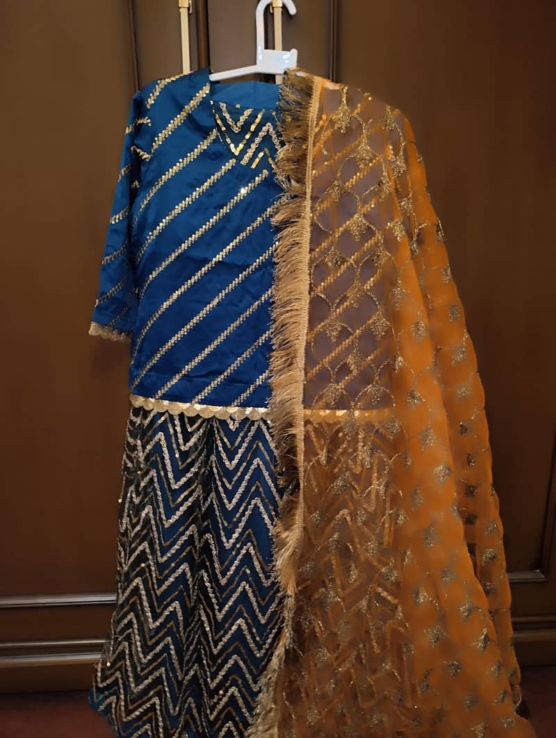 Lehnga 3