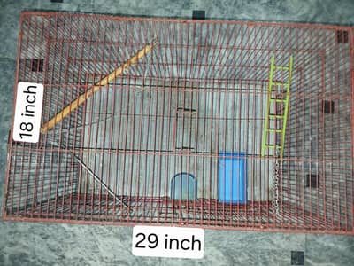 good quality cage good for 1 pair