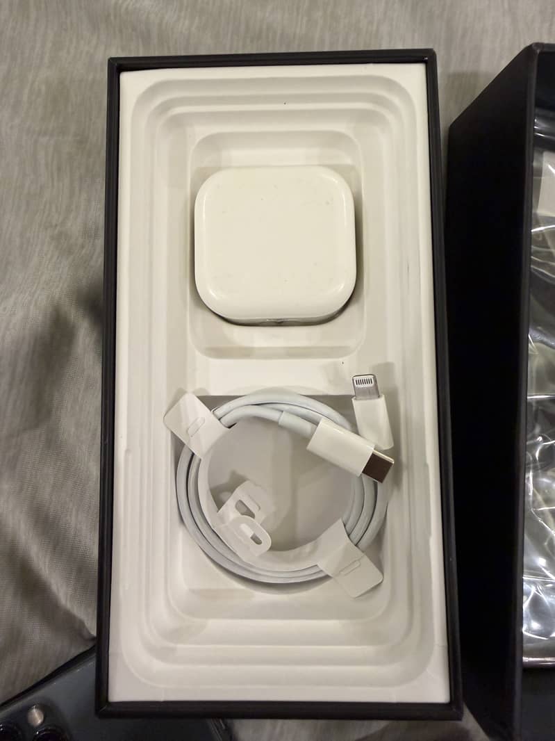 Apple iPhone 11 Pro Max 2