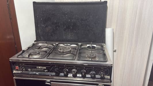 Skyflame stove