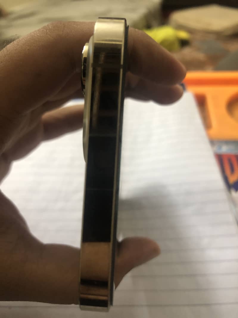 Apple iPhone 13 Pro Max 2