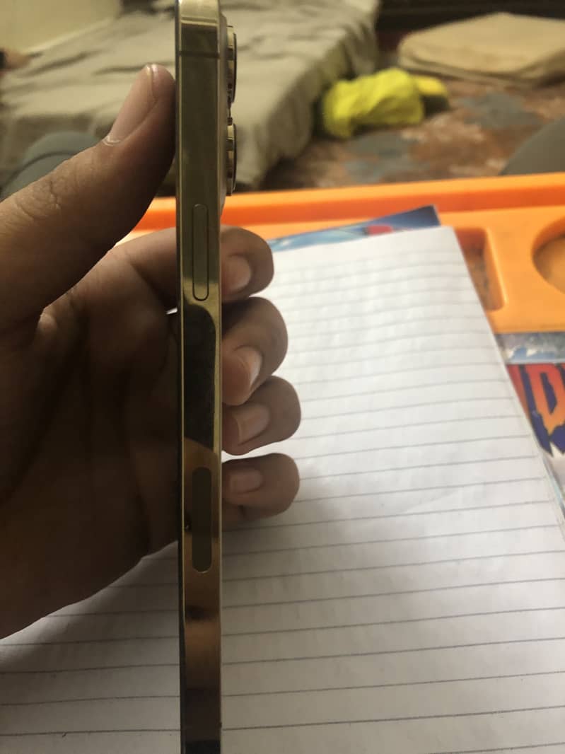 Apple iPhone 13 Pro Max 3