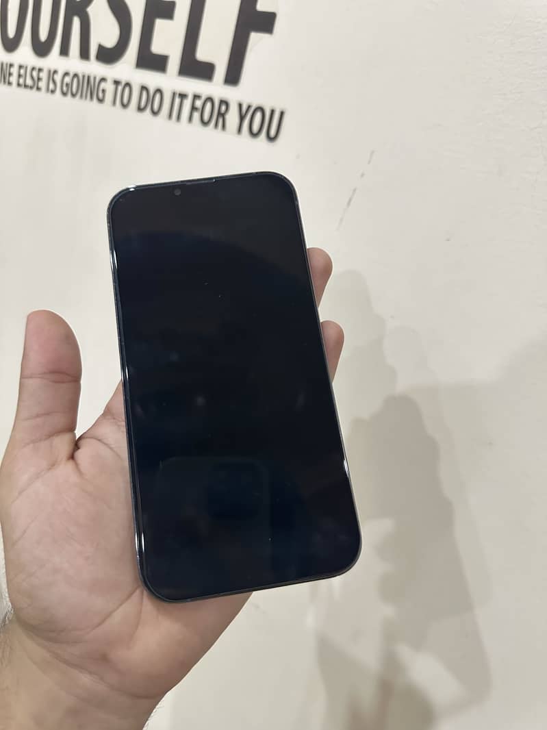 Apple iPhone 13 Pro Max 1