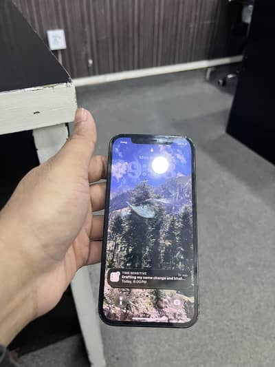 Apple iPhone 12 Pro