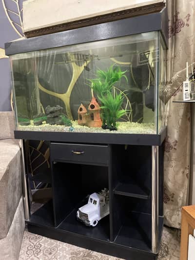 Fish aquarium