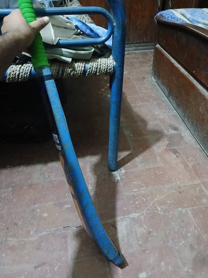 Coconut bat 1