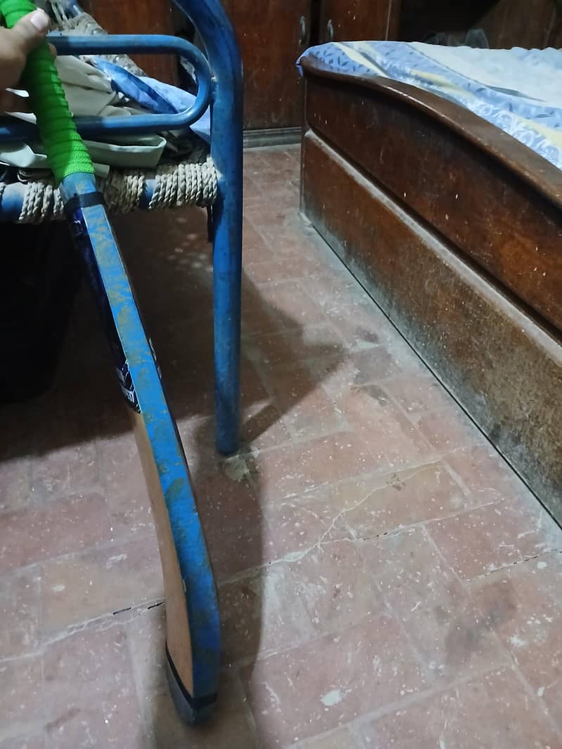Coconut bat 2