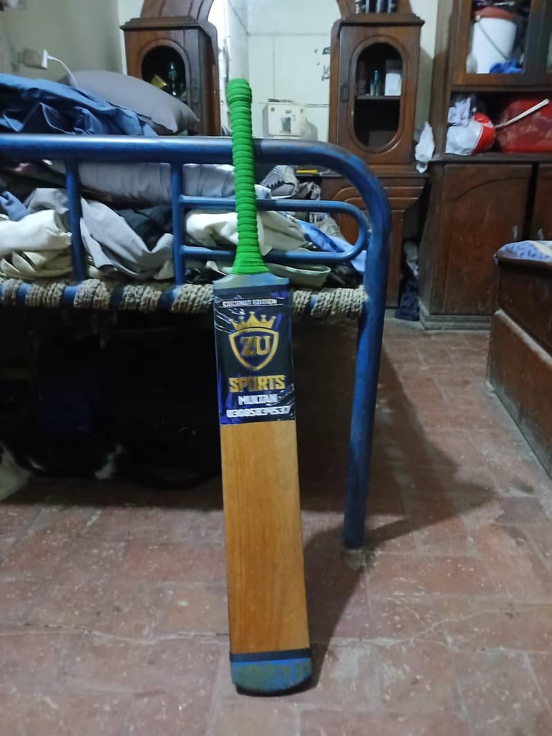 Coconut bat 4