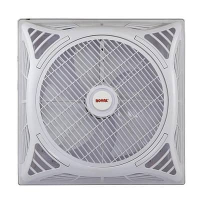 Royal false calling fan