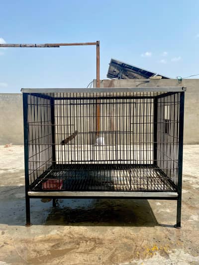Iron cage