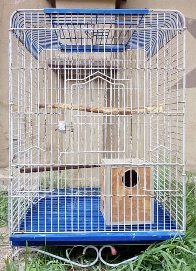 Birds Cage for Sale