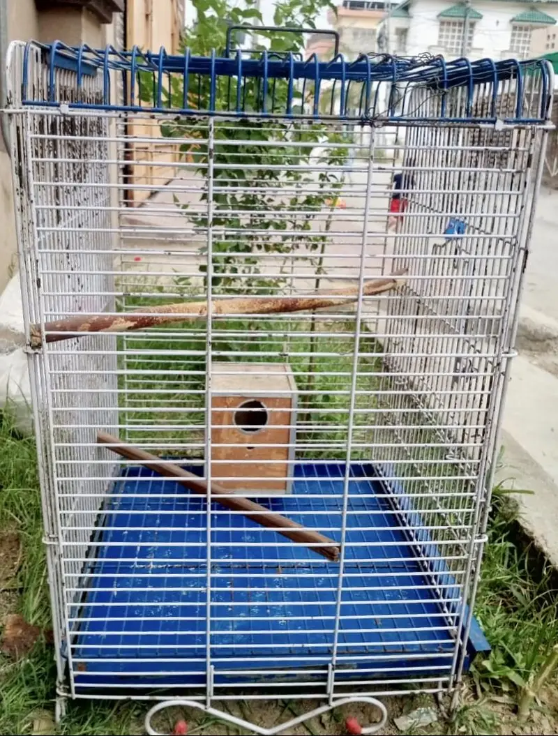 Birds Cage for Sale — photo 2
