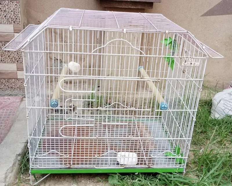 Birds Cage for Sale — photo 3
