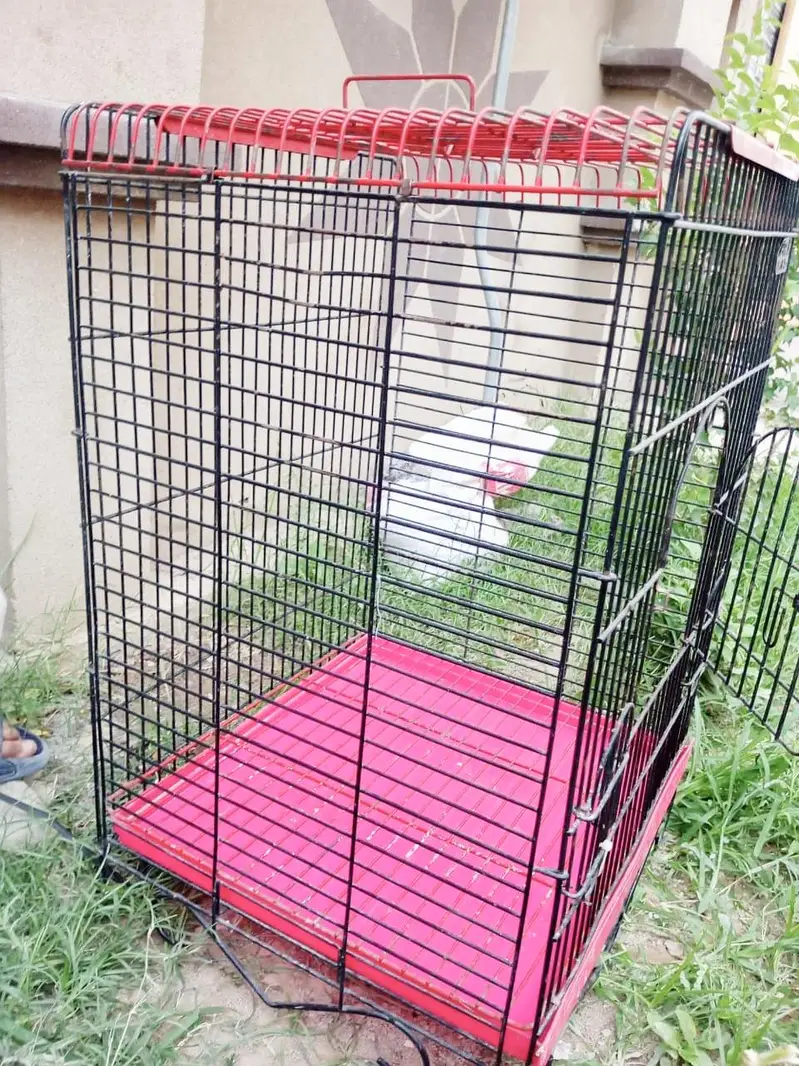 Birds Cage for Sale — photo 5