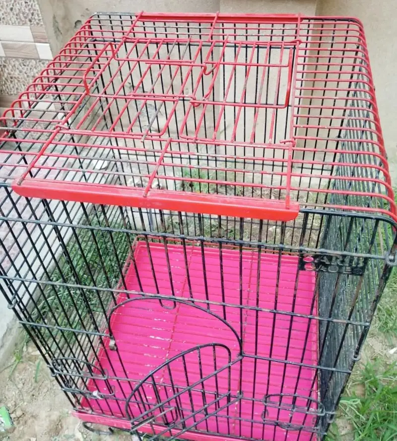 Birds Cage for Sale — photo 6