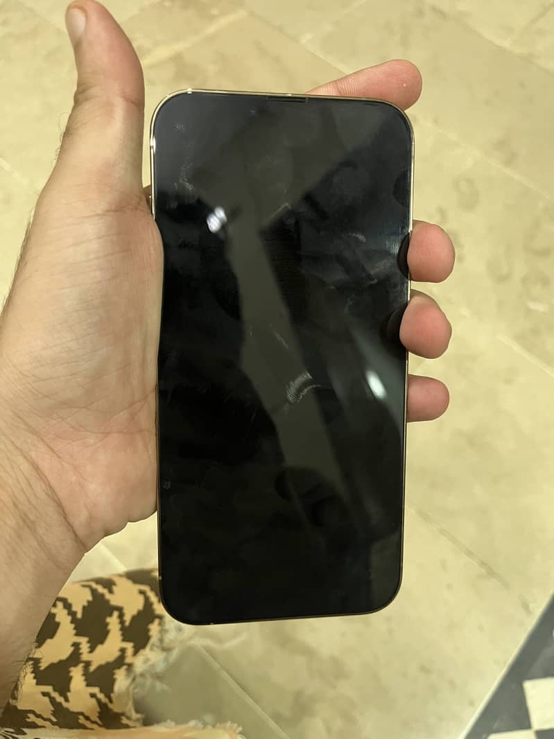 Apple iPhone 13 Pro Max 0