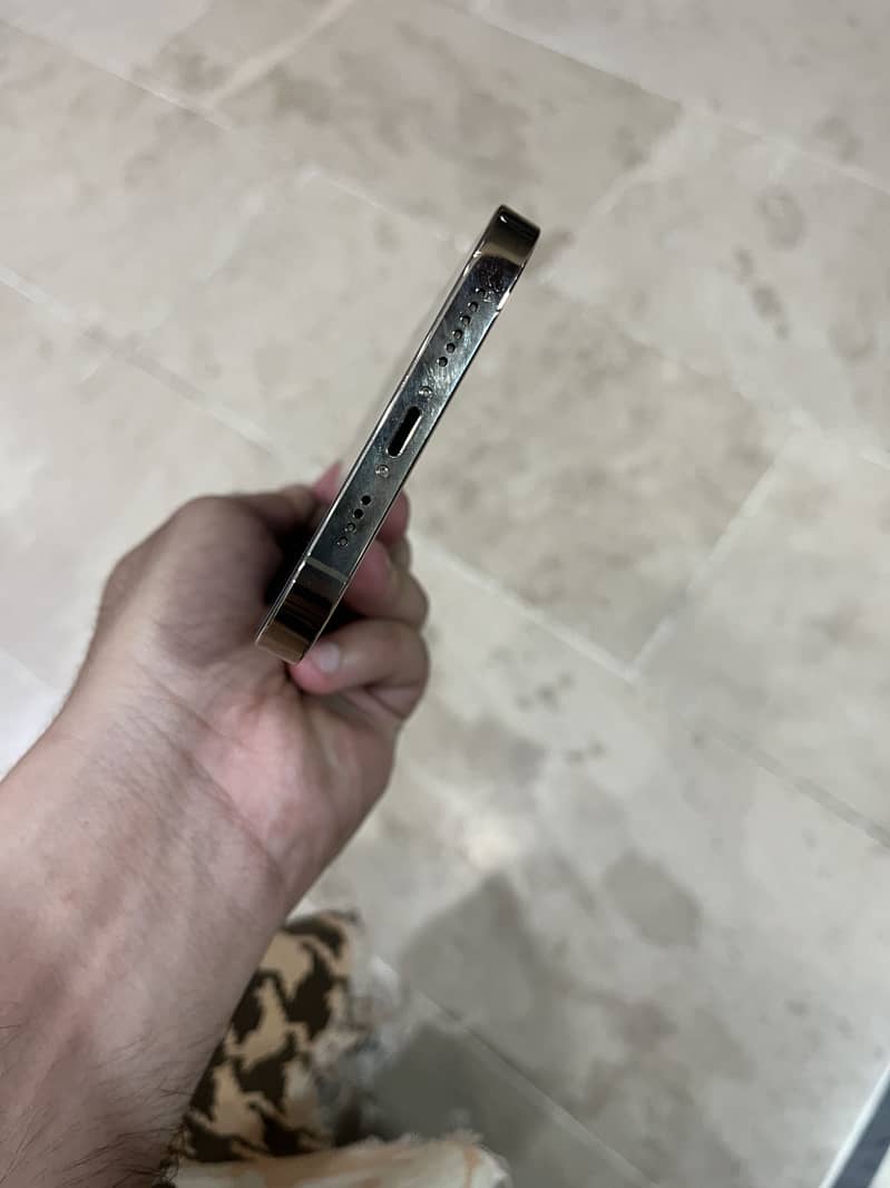 Apple iPhone 13 Pro Max 1