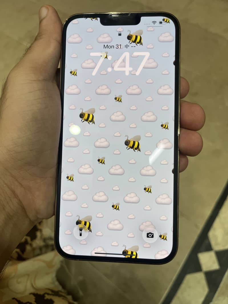 Apple iPhone 13 Pro Max 2