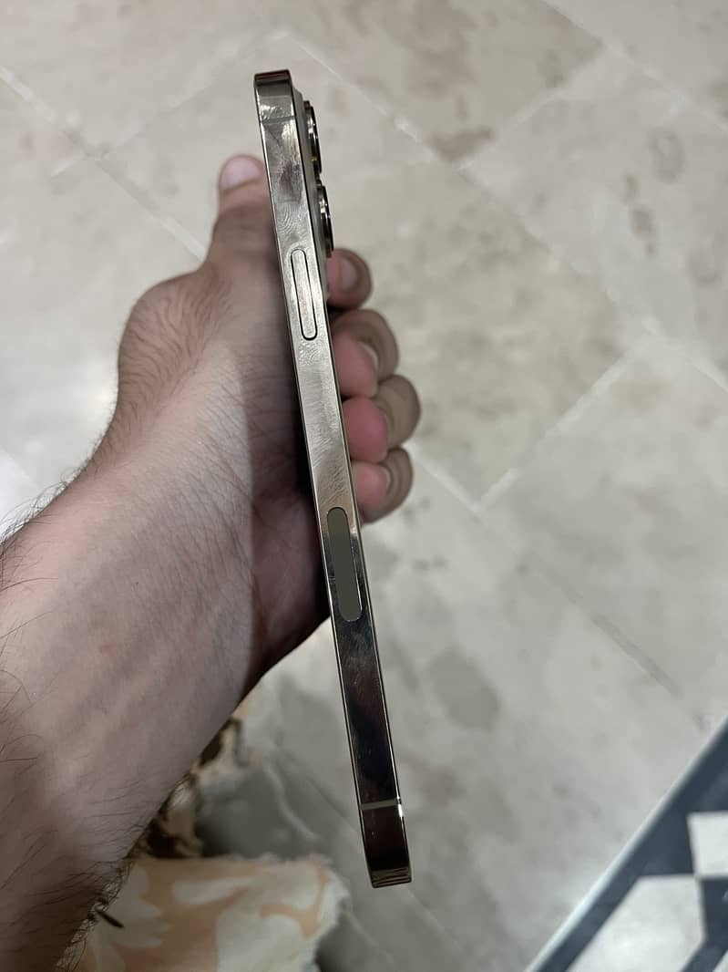 Apple iPhone 13 Pro Max 3