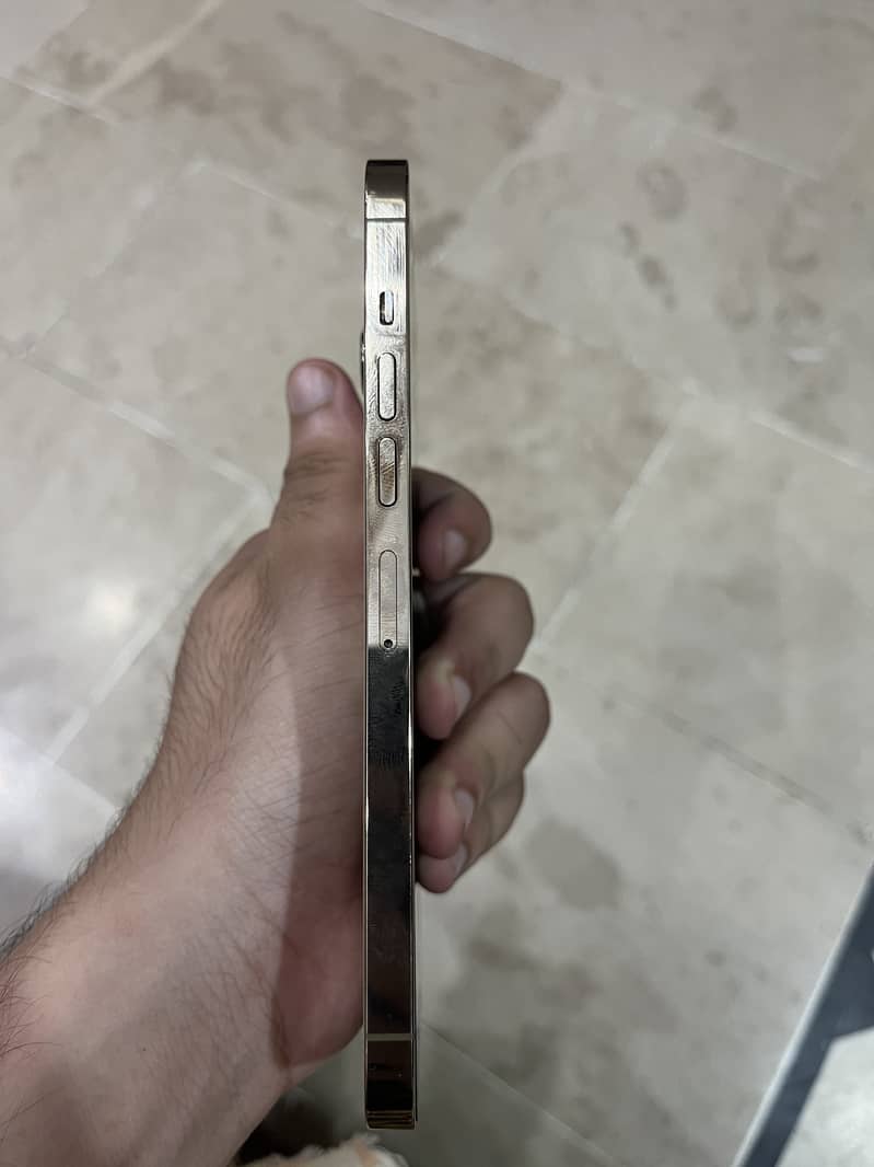 Apple iPhone 13 Pro Max 4